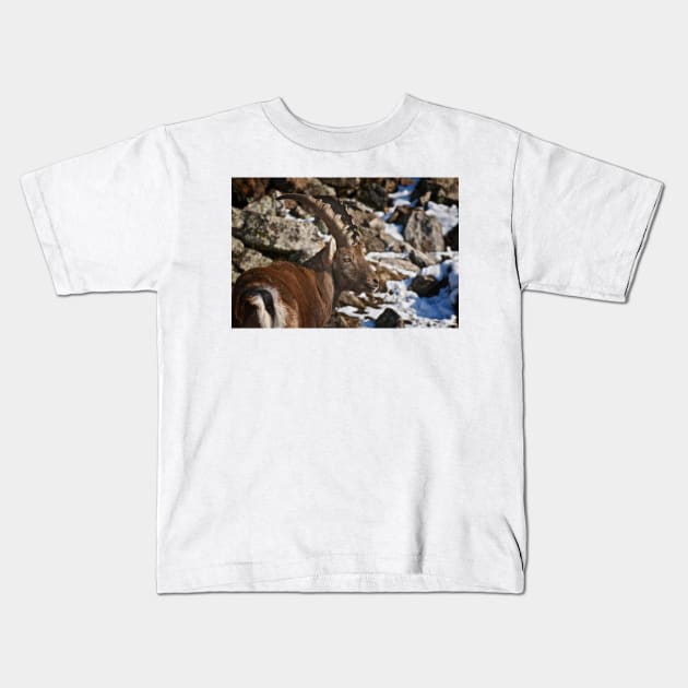 Ibex Kids T-Shirt by jaydee1400